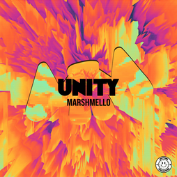 Unity Lyrics Marshmello