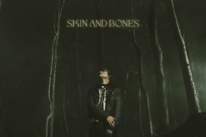 ​Skin and Bones Lyrics by David Kushner