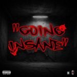 Going Insane Yessir Lyrics ImFly