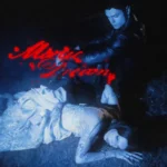 Manic Dream Lyrics