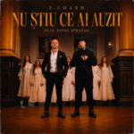 Nu știu ce ai auzit Lyrics By F.Charm