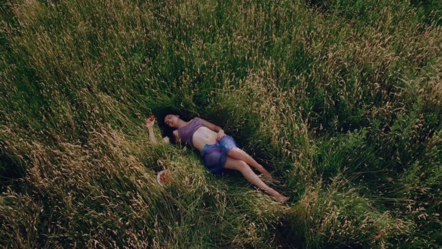 Charli XCX's "Wink Wink"