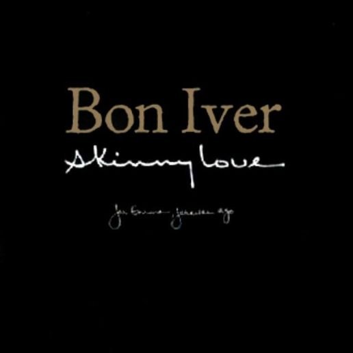 Skinny Love Lyrics By Bon Iver