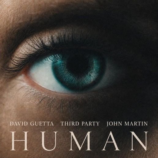 Human Lyrics By David Guetta, Third ≡ Party & John Martin