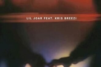 Pleading Lyrics By Lil Joar & Kris Breezi
