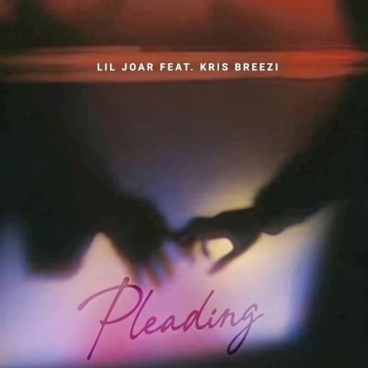 Pleading Lyrics By Lil Joar & Kris Breezi