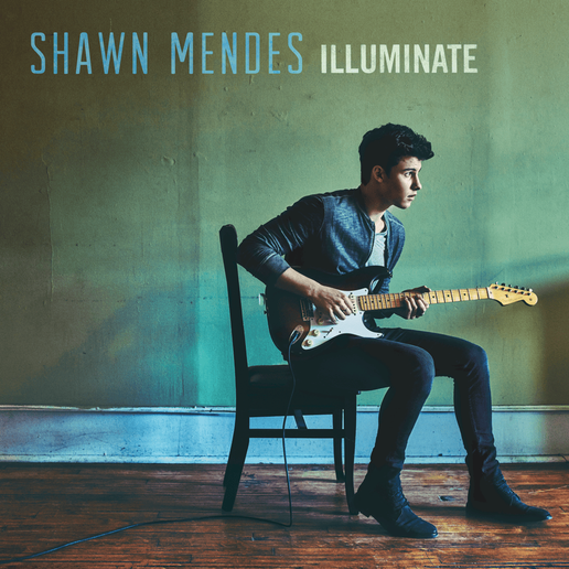 Ruin Lyrics By Shawn Mendes