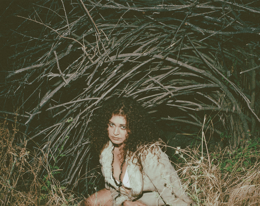 Twiggy Lyrics - Remi Wolf
