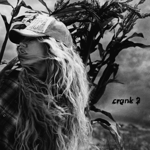 crank 2 Lyrics - Slayyyter