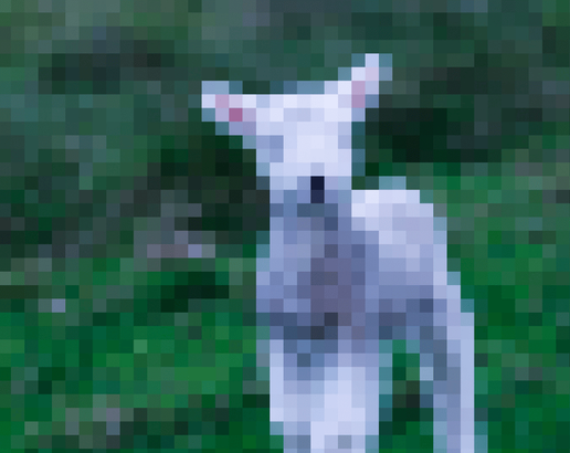 lamb Lyrics - Julia Wolf